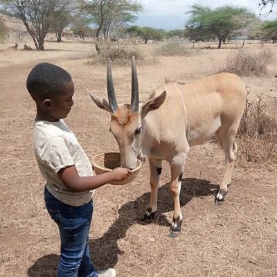 WhatsApp Image 2025-06-09 at 14.23.34