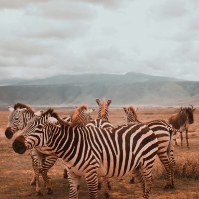 ema-studios-Uxcr9HraFWs-unsplash