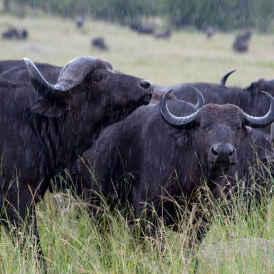 valeria-rossi-A4vOsSa4zIs-unsplash